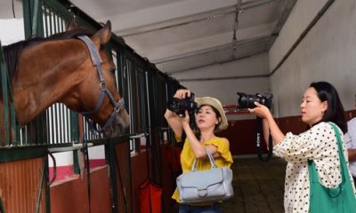 Güney Koreli Bloggerların At Keyfi