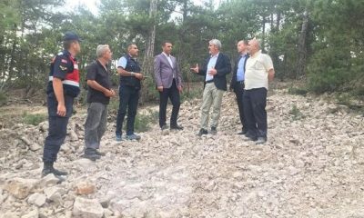 Sazak Yapıldak’ta Yangın Alanında