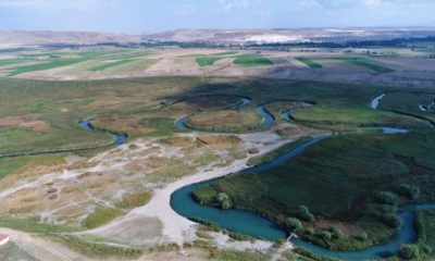 Türkiye’nin ‘Amazon’u’ Havadan Görüntülendi