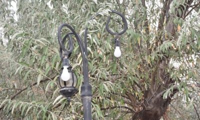 Magandalar Parkı Yedinci Kez Tahrip Etti