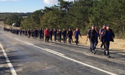 Yaşlı Şahsı 200 Kişilik Özel Ekip Ormanda Didik Didik Aradı