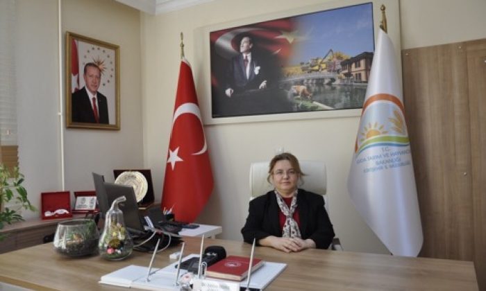 Eskişehir’de 14 Bin Kedi Köpeğe Kuduz Aşısı