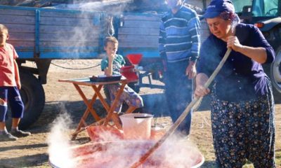 Bir Gün Uğraşıp Tüm Kış Boyunca Yiyorlar