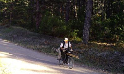 Ormanlardaki Usulsüzlükler Foto Kapanlara Yakalandı