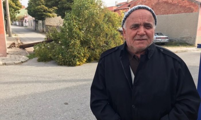Devrilen Ağacın Altından Saniyelerle Kurtuldu