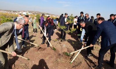 ESOGÜ’de Yediden Yetmişe Herkes Fidan Dikti