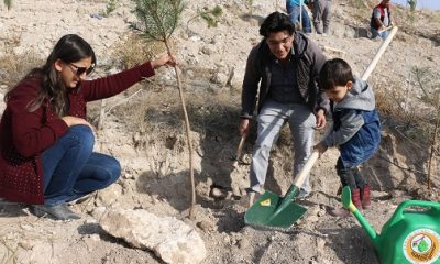 Kırka’da 25 Bin Fidan Toprakla Buluştu