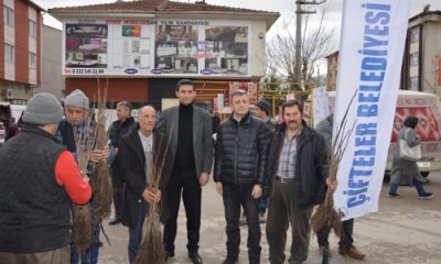 Çifteler’de 20 Bin Ceviz Fidanı Dağıtıldı