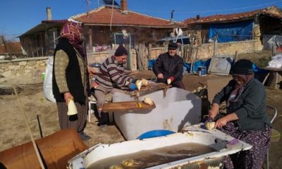 Karaörenliler Pancar Pekmezi Yapmaya Başladı