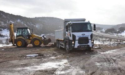İnönü’de Eski Çöp Depolama Alanı Ağaçlandırılıyor