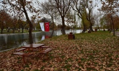 Sakaryabaşı’nda Sonbahar
