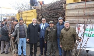İnönü’de 15 Bin Meyve Fidanı Dağıtıldı