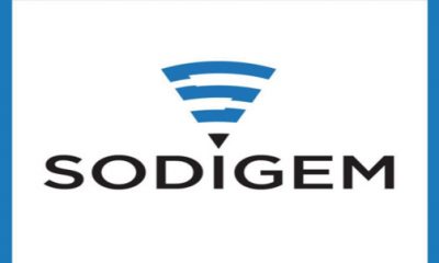 SODİGEM Bilim Kurulu: ‘Sibel Ünli Sosyal Medya Saldırganlığına Uğradı‘