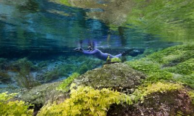 Rekortmen Birgül’den 2019’un Son Dalışı