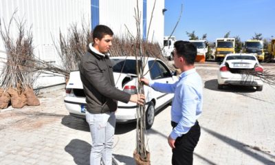 İnönü’de 4 Bin Ceviz Fidanı Toprakla Buluşacak