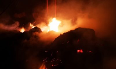 Ahır Yangınında Hayvanlar Telef Oldu