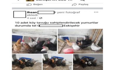 Eskişehir’de Fıkra Gibi Hırsızlık