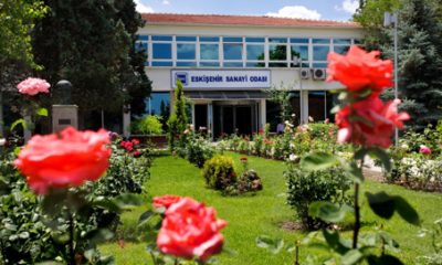 ESO’nun Koronavirüs Beklenti Eğilim Anketi ve Sonuç Raporu Açıklandı
