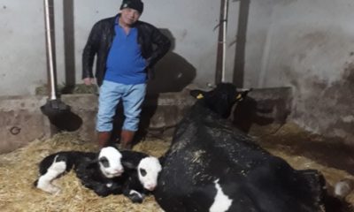 Kümbetli Çiftçinin Ramazan Bereketi