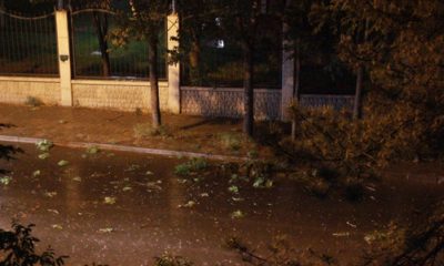 Eskişehir’de Şiddetli Rüzgar Ağaç Dallarını Kırdı