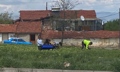 Yasağa Aldırmayan Sokaktaki Bu Çocukları Gören Yok mu?