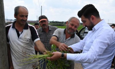 AK Parti Tepebaşı Çiftçinin Yanında
