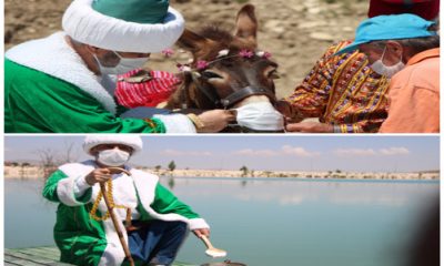 Önce Eşeğe Maske Takıldı Sonra Göle Maya Çalındı