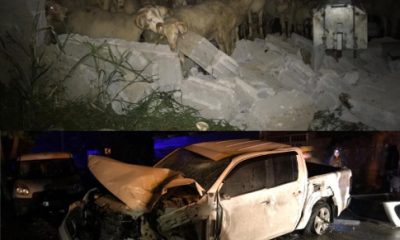 Tepebaşı’nda Koyunları Şoka Sokan Kaza