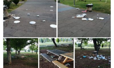 Dede Korkut Parkında Piknikçi Rezaleti