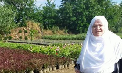 Mihalgazi’de Panayır Hazırlıkları Devam Ediyor