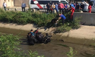 Minik Yusuf’tan Acı Haber