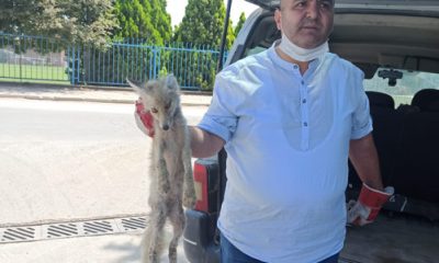 AK Parti Meclis Üyesi Kavas’tan Örnek Davranış