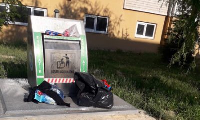 Vadişehir Mahallesi Çöplük İçinde