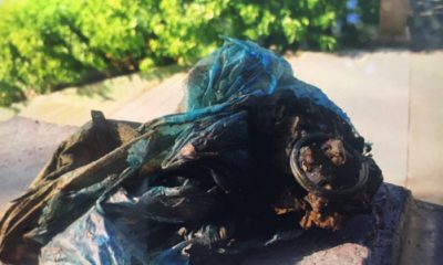 Balık Sandılar El Bombası Çıktı