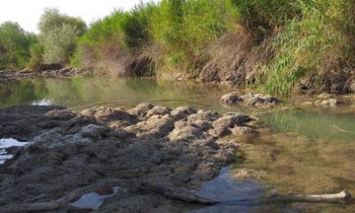 Günyüzü Yağmur Gözlüyor