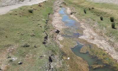 Sakarya Nehri’ndeki Su Oranı Olumsuz Sonuçlar Doğuruyor