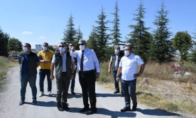 Eskişehir OSB’DE Ağaçlandırma Çalışması Yapılacak