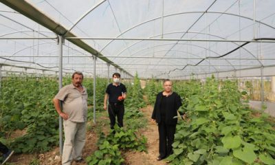 Eskişehir’in Şahıs Bazlı En Büyük Organik Tarım Üreticisi Sarıcakaya’dan