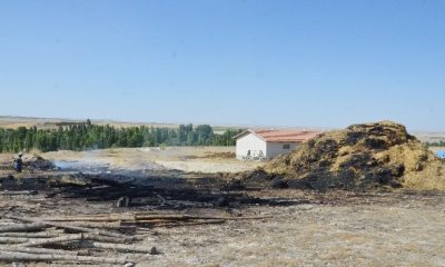 12 Bin Liralık Saman Balyası Kül Oldu