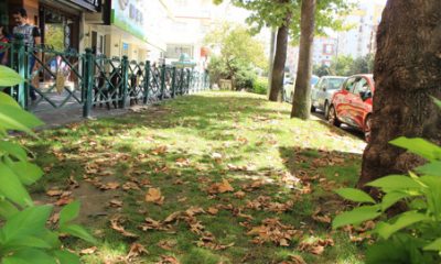 Eskişehir’de Sararan İlk Yapraklar Yere Düştü