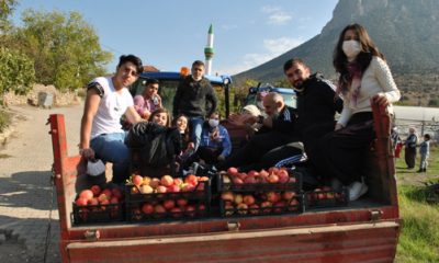 İstanbullu Gençler Sarıcakaya’da Nar Hasadı Yaptı