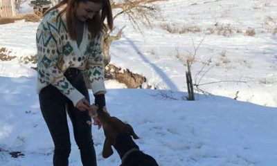 MHP Eskişehir İl Teşkilatı Sessiz Dostlarımızı Unutmadı