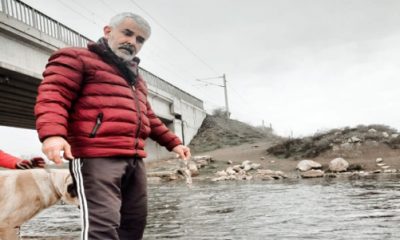 Milletvekili Sazak Ölü Balıkları Yerinde İnceledi