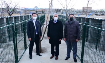 Eskişehir OSB Müdürlüğü’nden OSB’ndeki Sokak Hayvanlarına Rehabilitasyon Merkezi