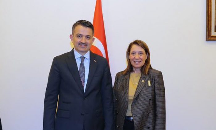 Günay’dan Seyitgazi ve Mahmudiye İçin Toplulaştırma Müjdesi