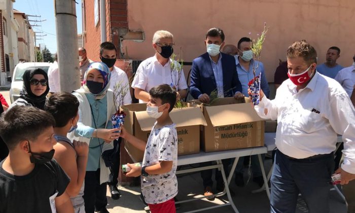 AK Odunpazarı’ndan Fidan Dağıtımı