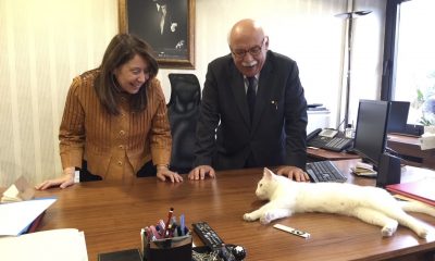 Hayvan Hakları Yasası Meclise Geliyor