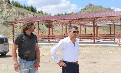 Sivrihisar Hayvan Pazarı Kuruluyor