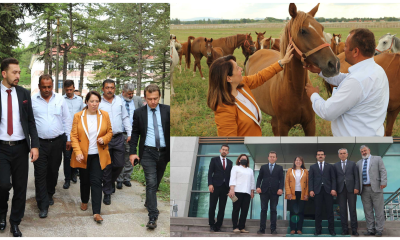 Günay’dan Mahmudiye’ye Ziyaret