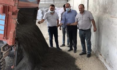 Seyitgazi’de İlk Ayçiçeği Hasadı Yapıldı